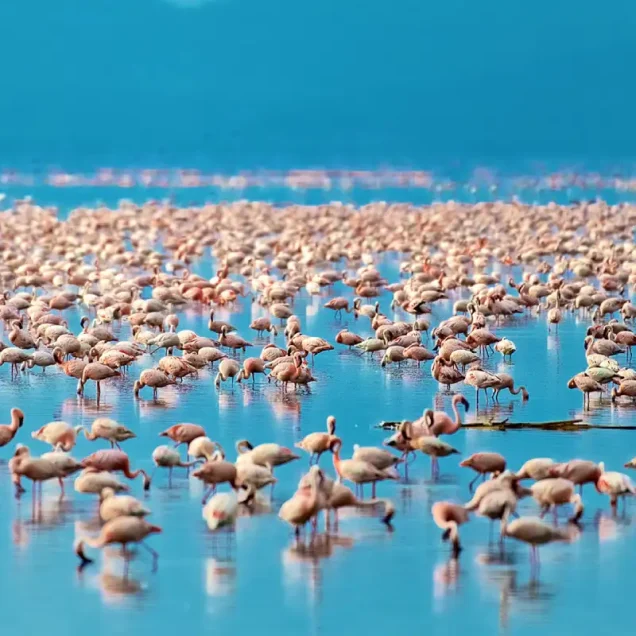 Lake Manyara